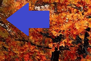 透明にしたあと