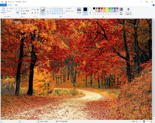 ペイントで写真や風景などの画像を開きます