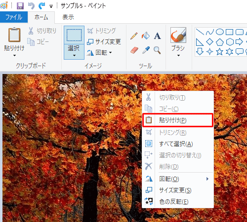 開いた写真の任意のところで右クリックして、表示された一覧から「貼り付け」をクリックします