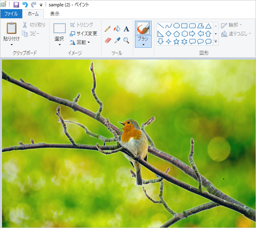 ペイントを起動して、コピー元となる写真や画像のファイルを開きます