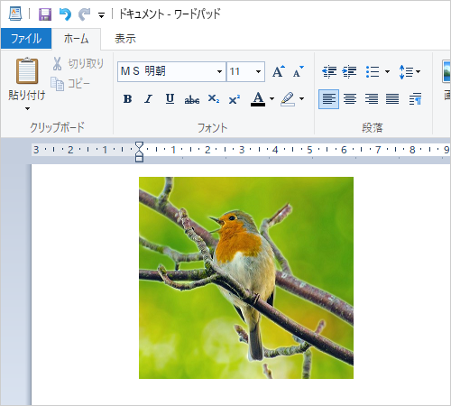 選択した範囲の画像が、ほかのアプリにコピーできたことを確認してください