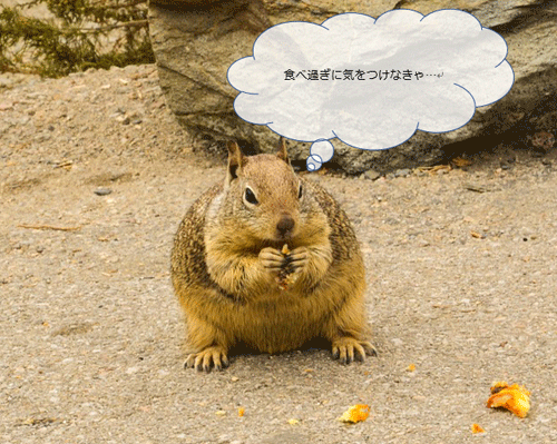 吹き出しを挿入した一例