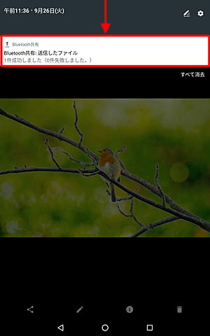 「Bluetooth共有：送信したファイル」というメッセージをタップします