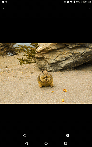 受信したファイルが表示されます