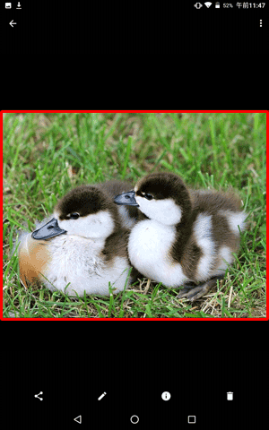 メールに添付されていた画像が、フォトで表示されたことを確認してください