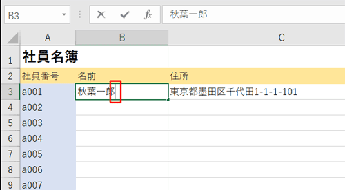 セルをダブルクリックすると、カーソルが表示されることを確認してください