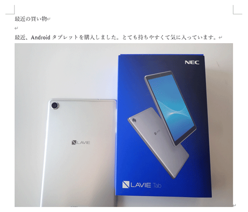 文書に写真が挿入されたことを確認してください