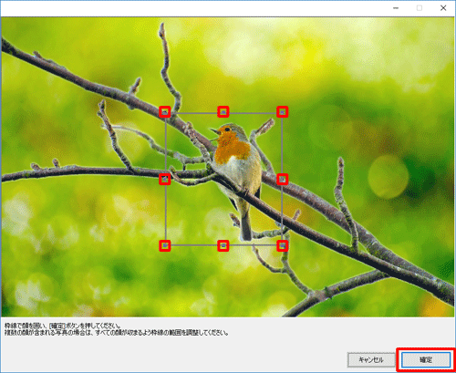 写真の辺のハンドル（■）をドラッグして大きさを調整し、「確定」をクリックします