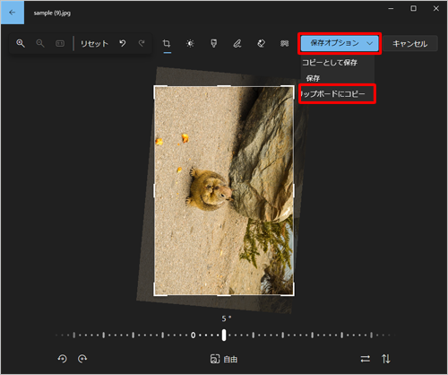写真をクリップボードにコピーする場合は、「保存オプション」をクリックし、表示された一覧から「クリップボードにコピー」をクリックします