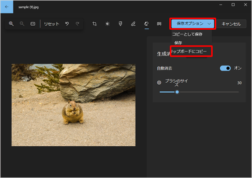 写真をクリップボードにコピーする場合は、「保存オプション」をクリックし、表示された一覧から「クリップボードにコピー」をクリックします