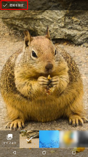 画像を左右に動かして、表示したい範囲を設定したら、画面左上の「壁紙を設定」をタップします