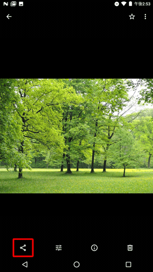 ファイルが表示されたら、画面をタップして左下に表示された「アイコン」をタップします