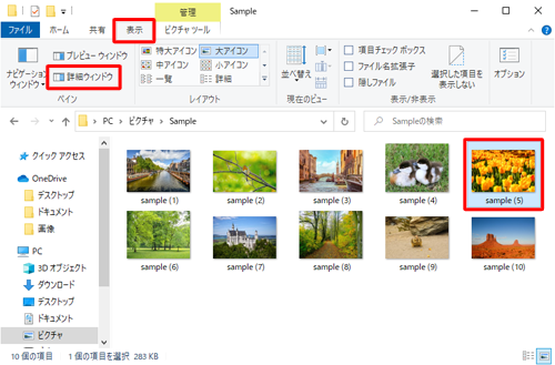 詳細情報を確認したい画像ファイルを選択し、リボンから「表示」タブをクリックし、「ペイン」グループの「詳細ウィンドウ」をクリックします