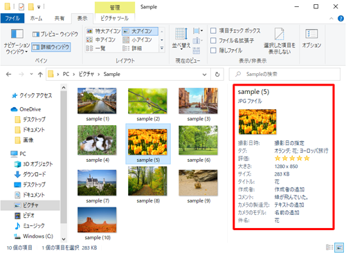 エクスプローラーの詳細ウィンドウが表示され、詳細情報が確認できます