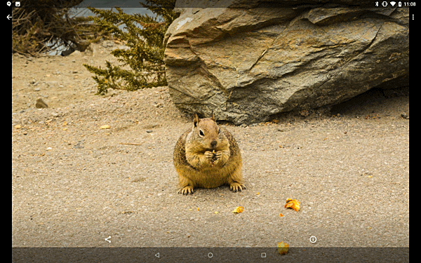 受信したファイルが表示されます
