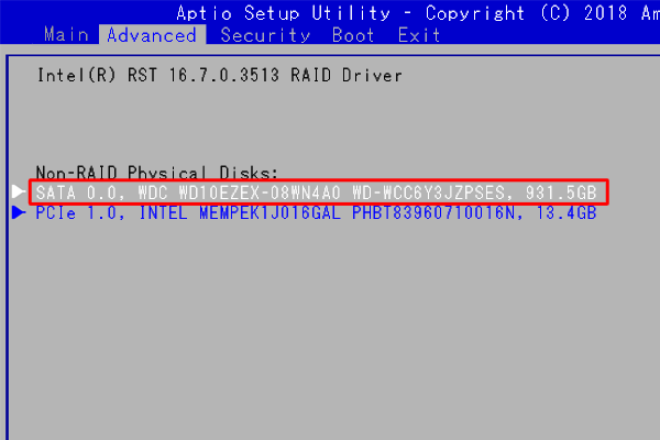 「SATA 0.0, HDD名（シリアルナンバー）XXGB」に合わせ、「Enter」キーを押します
