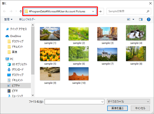 上部にあるボックスに、フォルダーのパス「\ProgramData\Microsoft\User Account Pictures」を入力し、「Enter」キーを押します