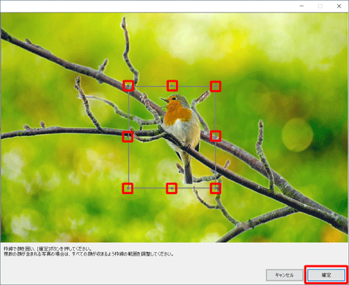写真の辺のハンドル（■）をドラッグして大きさを調整し、「確定」をクリックします
