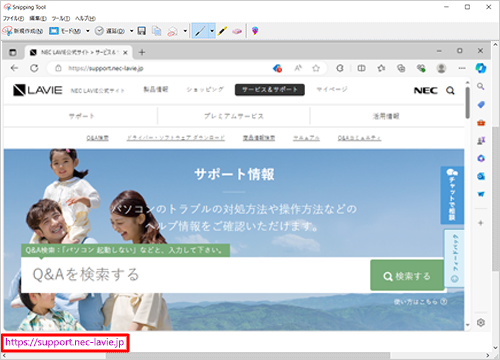 保存した画像にURLが表示された状態（一例）