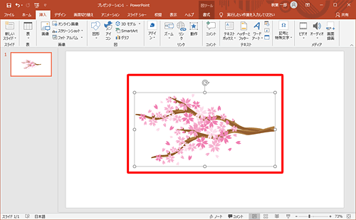 選択した画像が挿入されたことを確認してください