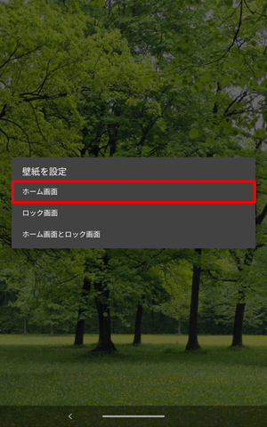 「壁紙を設定」が表示されるので、「ホーム画面」をタップします