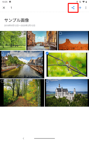 ファイルが選択されたことを確認し、画面右上に表示された「共有」をタップします