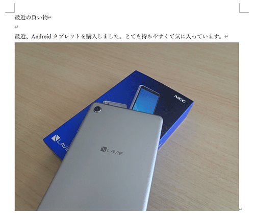 文書に写真が挿入されたことを確認してください