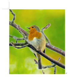 図が表示される設定