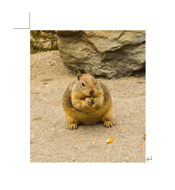 図が表示される設定