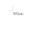 入力時：「WOrd」