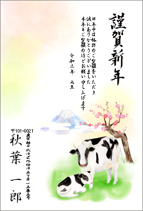 裏面の差出人が表示