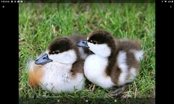 受信したファイルが表示されます