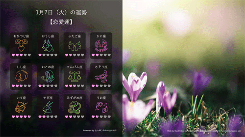 LAVIEサイネージのスクリーンセーバー（一例）
