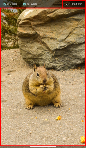 画像を上下左右に動かして表示したい範囲を決めたら、画面右上の「壁紙を設定」をタップします