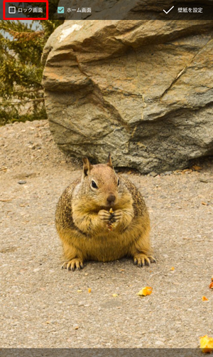 「ホーム画面」のみ設定したい場合は、「ロック画面」のチェックを外します