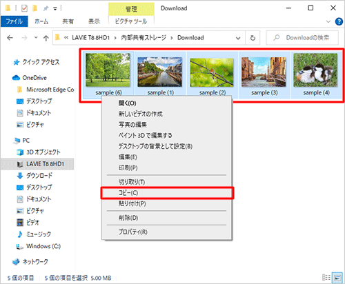 フォルダーまたはデータの上で右クリックして、表示された一覧から「コピー」をクリックします