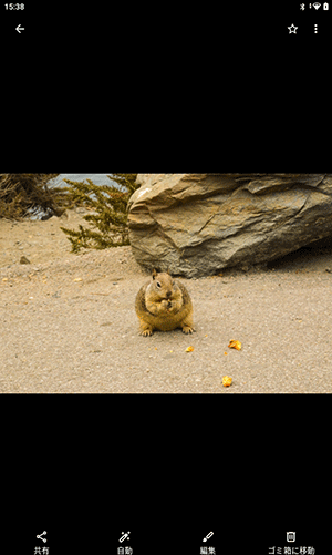 受信したファイルが表示されます