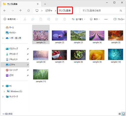 詳細ウィンドウを表示したいフォルダーを開きます