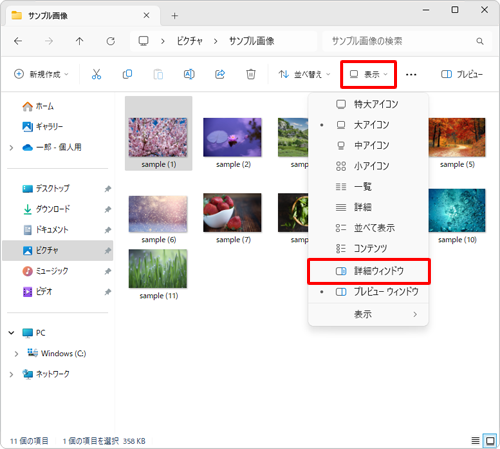 画面上部のメニューから「表示」をクリックし、表示された一覧から「詳細ウィンドウ」をクリックします
