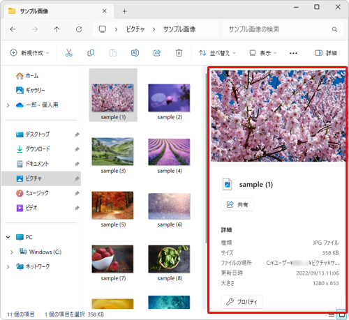詳細ウィンドウが表示されたことを確認してください
