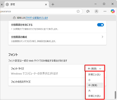 「フォント」欄の「フォントサイズ」ボックスから、任意の文字サイズをクリックします