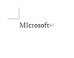 入力時：「MIcrosoft」