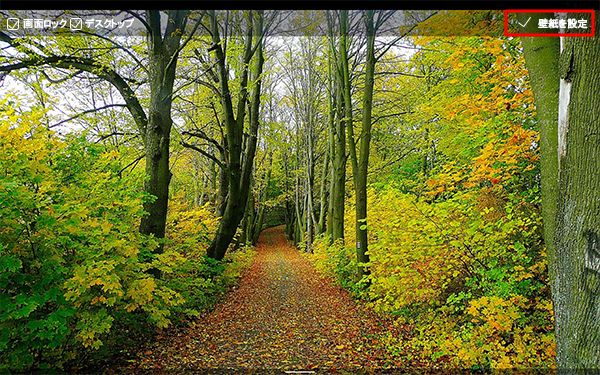 壁紙の画像を確認して、画面右上の「壁紙を設定」をタップします