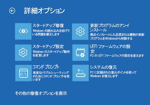 「詳細オプション」が表示されます