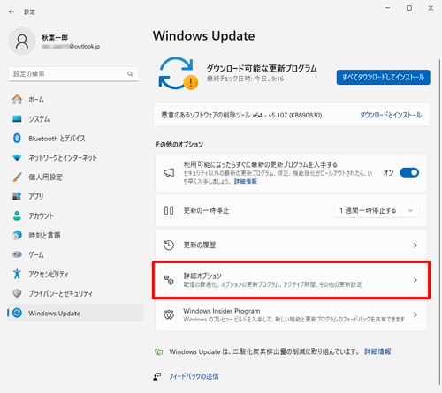 「その他のオプション」欄から「詳細オプション」をクリックします