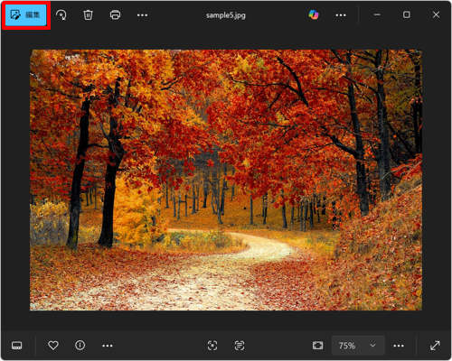画面上部の「画像の編集」をクリックします