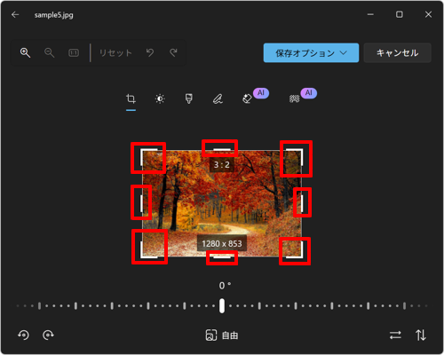 画像の周辺に表示されたトリミングの枠をドラッグし、トリミングしたい範囲を囲みます