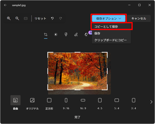 範囲選択が完了したら、「保存オプション」をクリックして、「コピーとして保存」をクリックします
