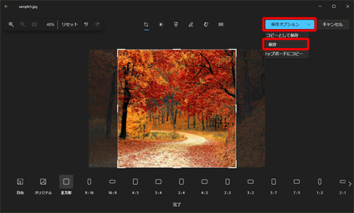 元の画像に上書きして保存する場合は、「保存オプション」をクリックして「保存」をクリックします