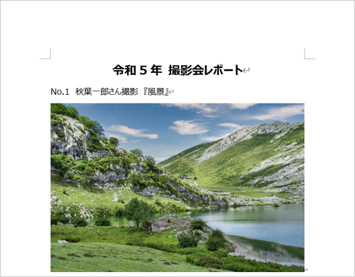 文書に写真が挿入されたことを確認してください